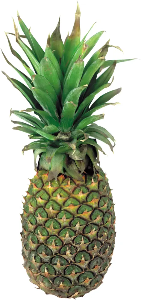 Green Pineapple