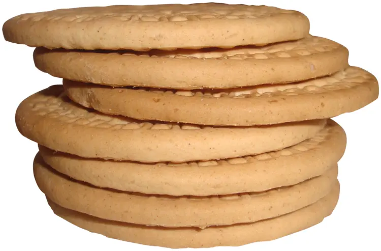 Stack of Plain Biscuits