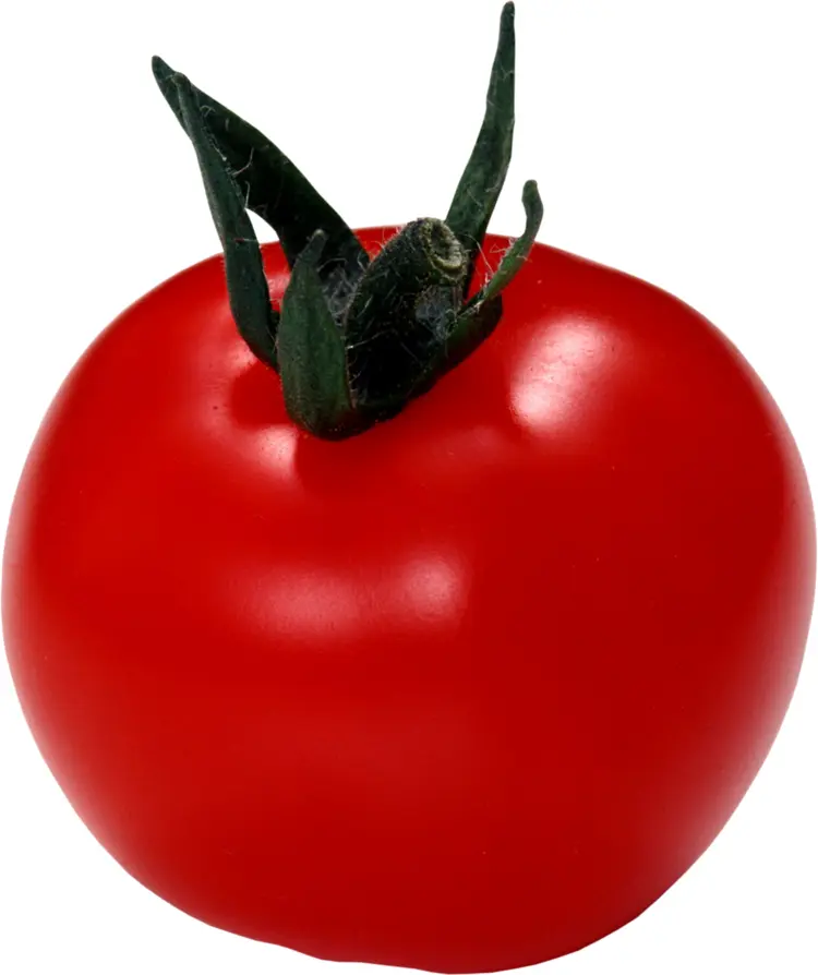 Fresh Red Tomato