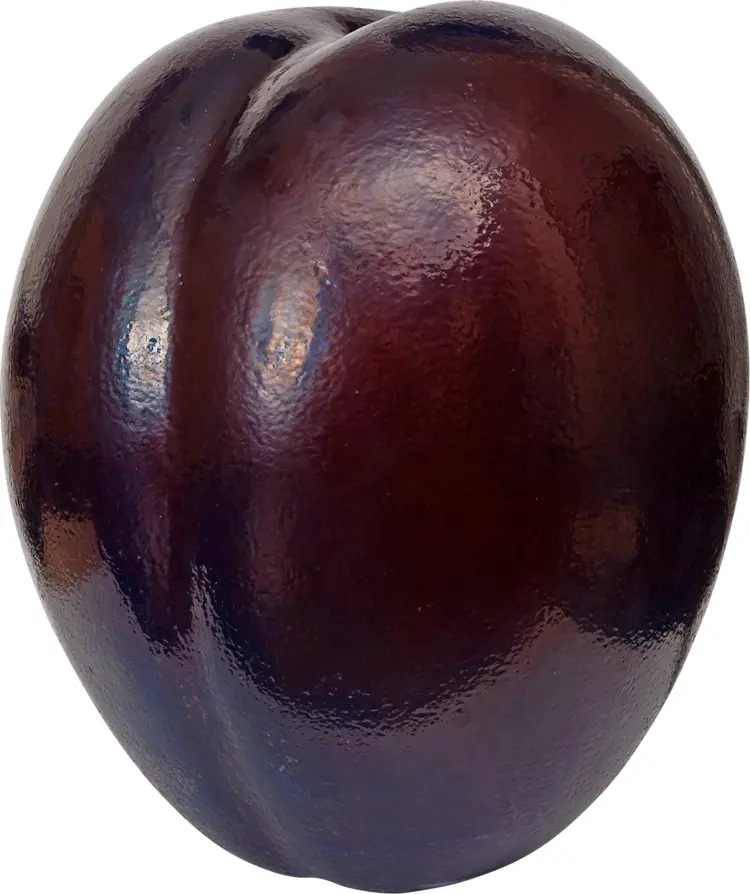 Smooth Purple Plum