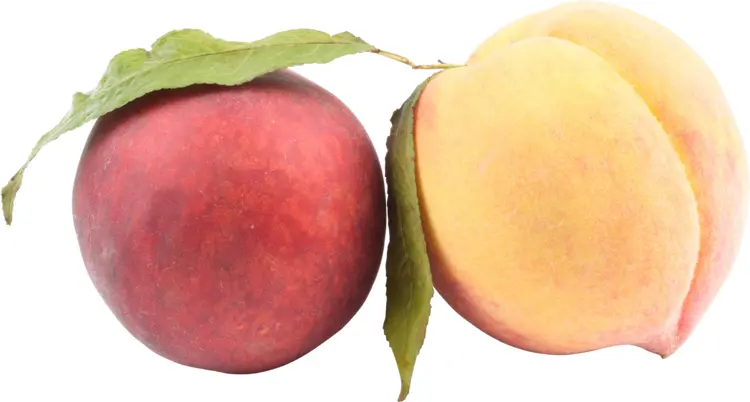 Red and Yellow Peach Fruit