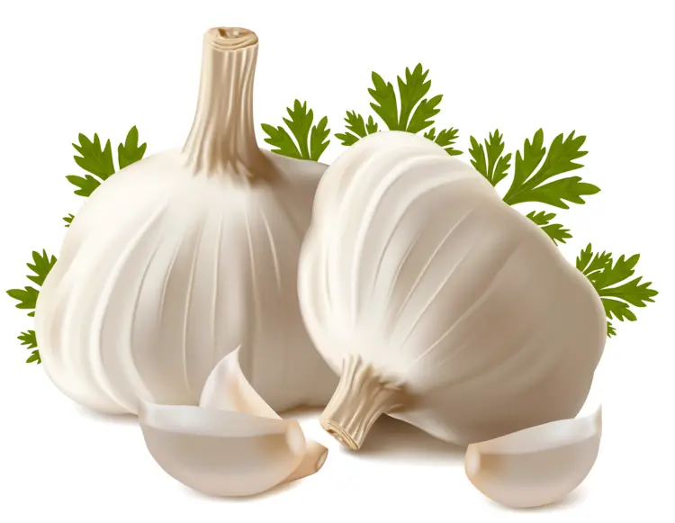 Garlic Bulbs with Parsley and Cloves