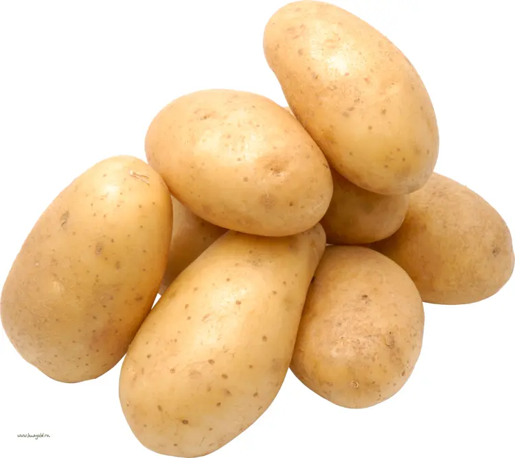 Pile of Fresh Potatoes