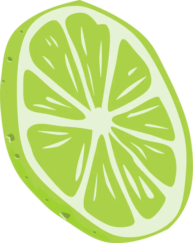 Illustration of a Lime Slice