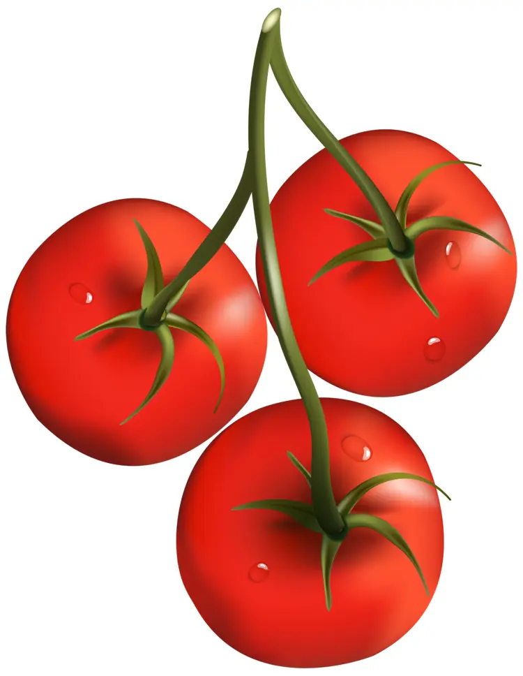 Cherry Tomatoes on the Vine