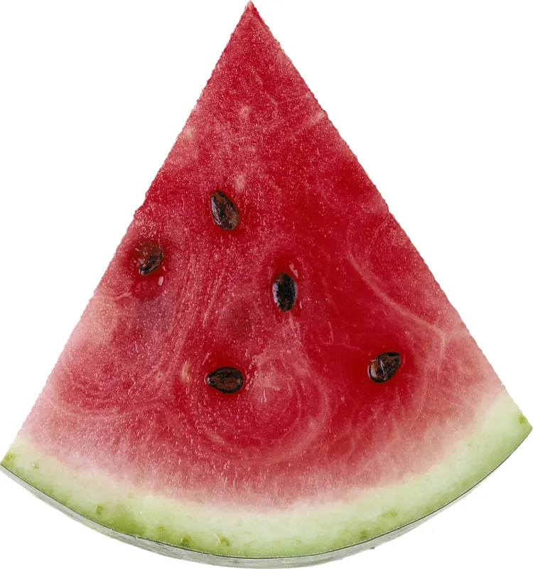Juicy Red Watermelon Slice