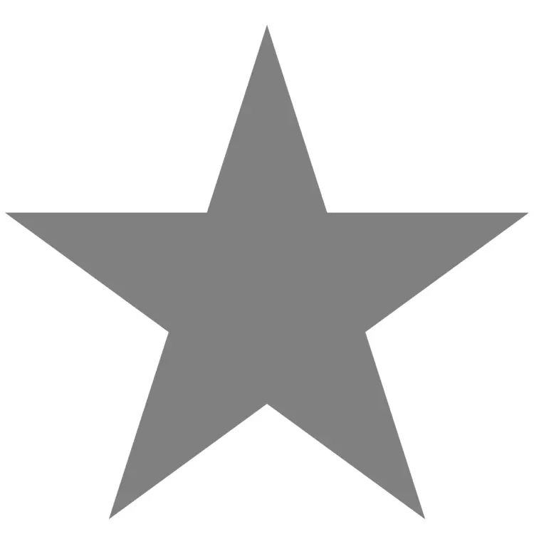 Solid Grey Star Icon