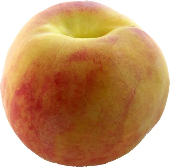 Single Yellow Peach