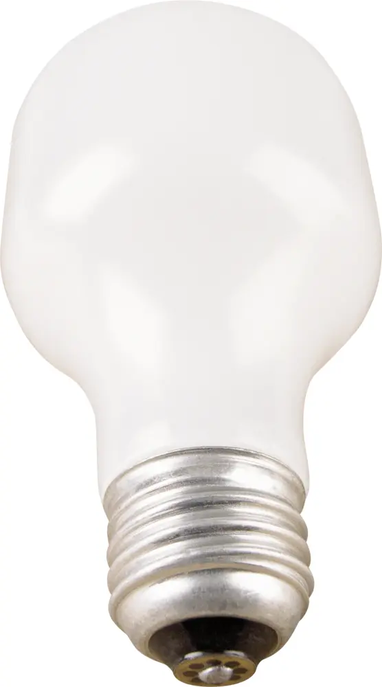 Soft Light Frosted Bulb