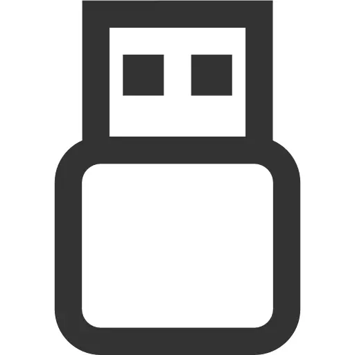 USB Plug Icon