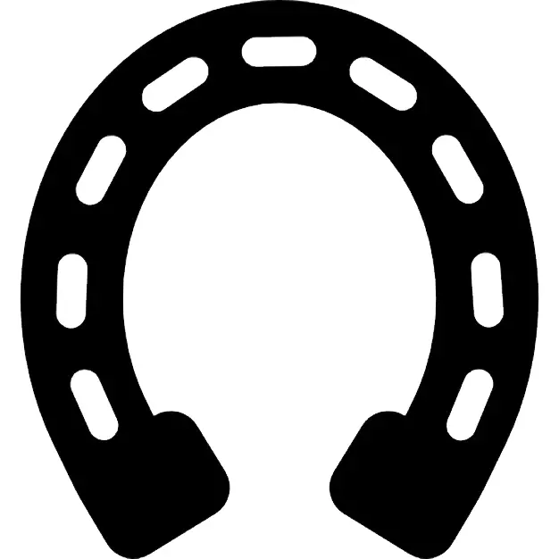 Black Horseshoe Symbol
