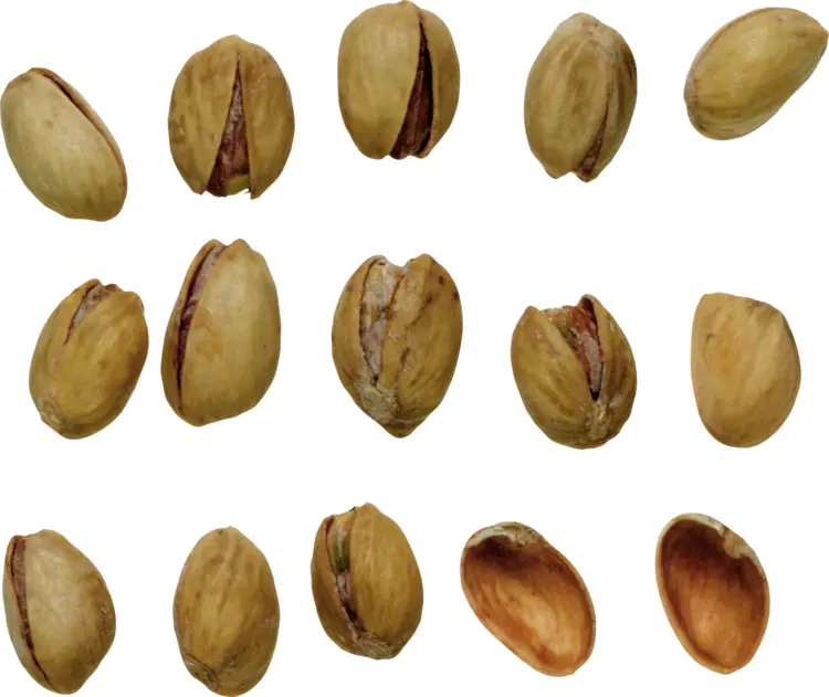 Pistachios with Shells