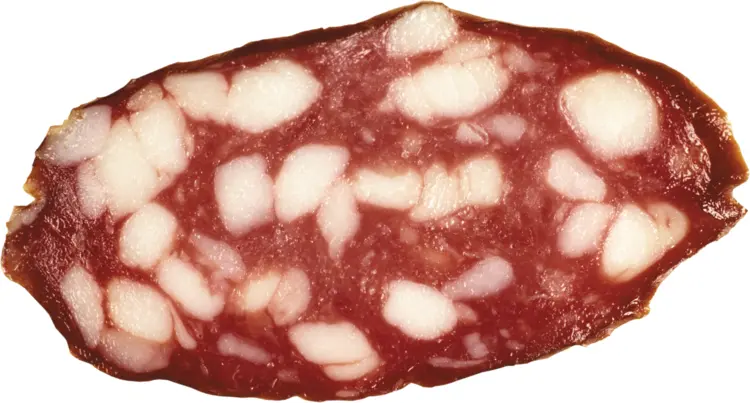 Salami Slice with Fat Marbling