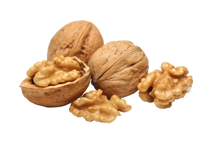 Whole and Shelled Walnuts
