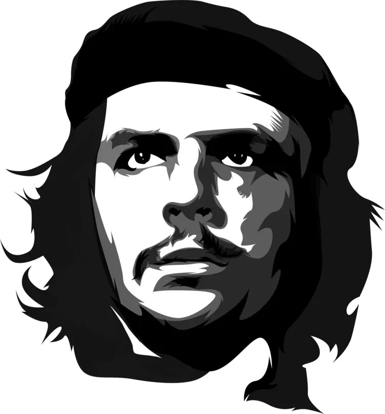Iconic Black and White Portrait Illustration