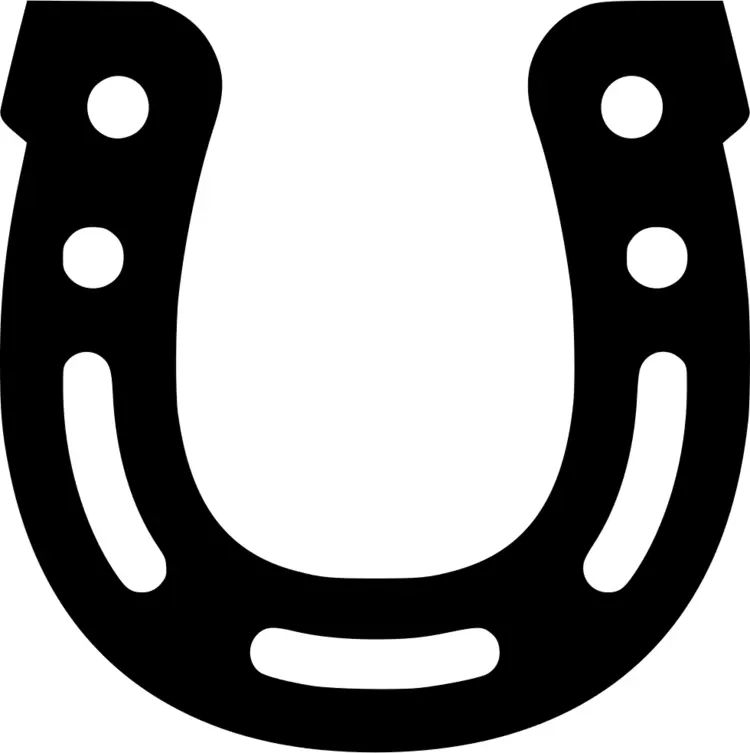 Black Horseshoe Symbol of Luck