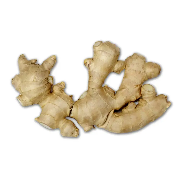 Fresh Ginger Root for Cooking and Health