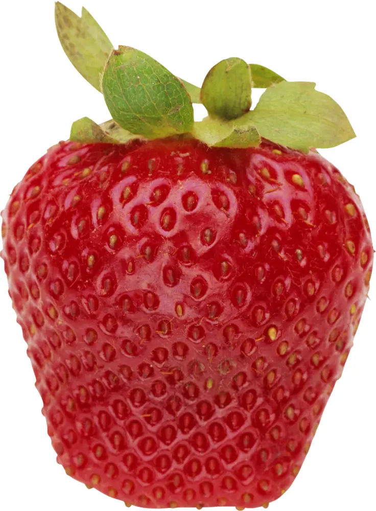 Fresh Red Strawberry