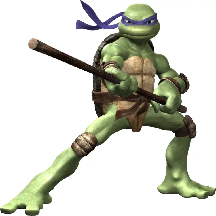 Ninja Turtle Ready for Battle