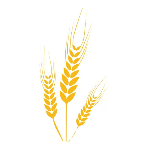 Golden Wheat Stalks