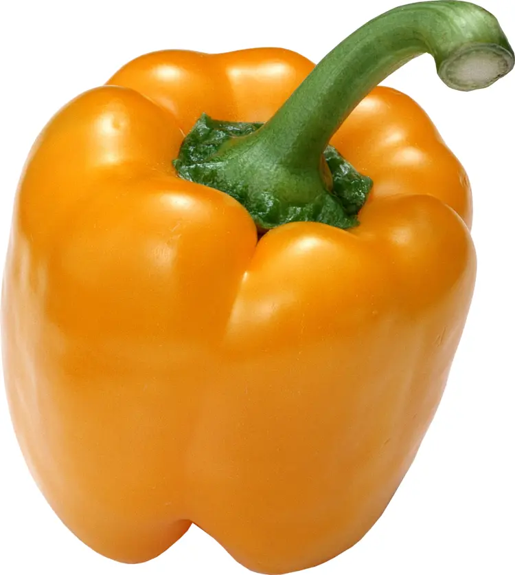Yellow Bell Pepper