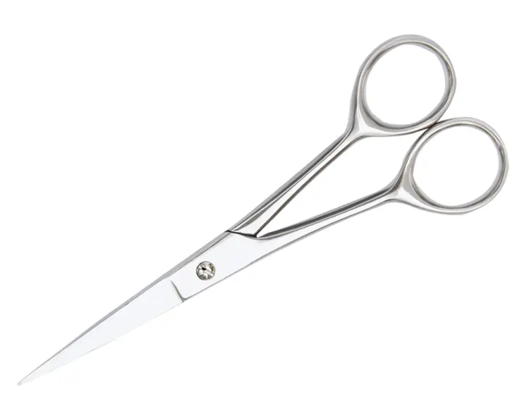 Silver Precision Scissors