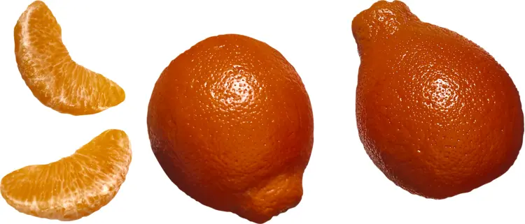 Whole and Peeled Orange Mandarin