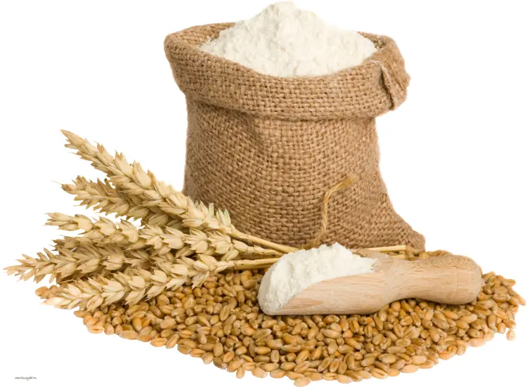 Sack of Wheat and Flour with Wooden Scoop