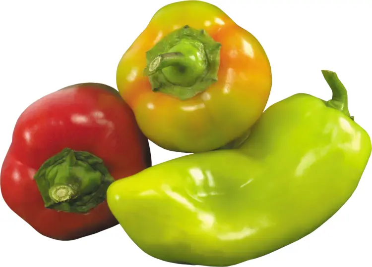 Fresh Mixed Bell Peppers