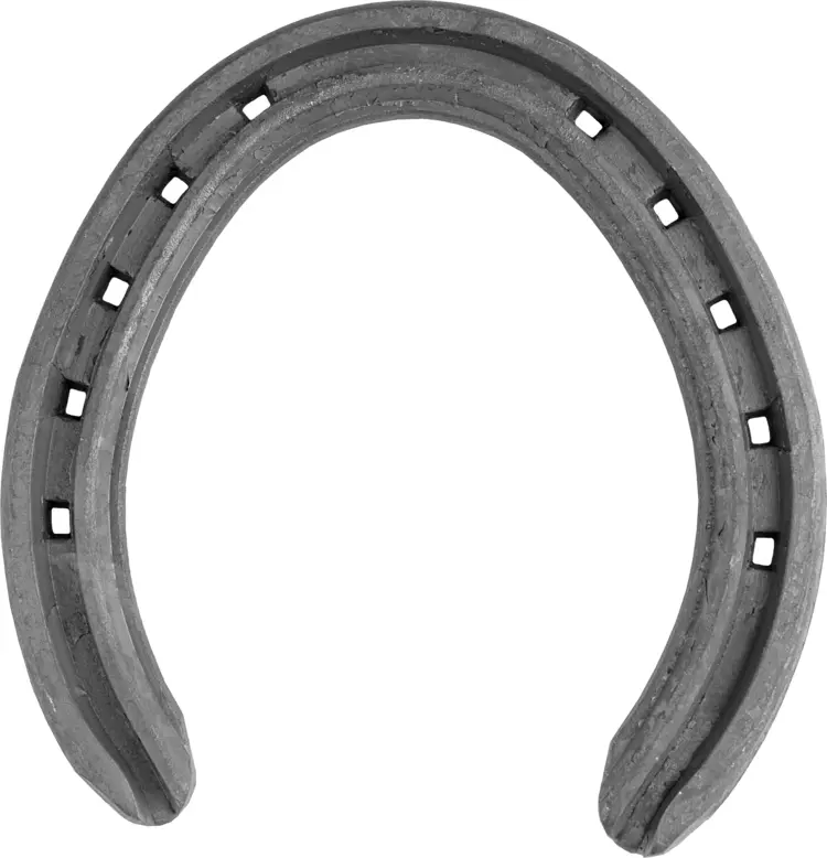 Metal Horseshoe for Horse Protection