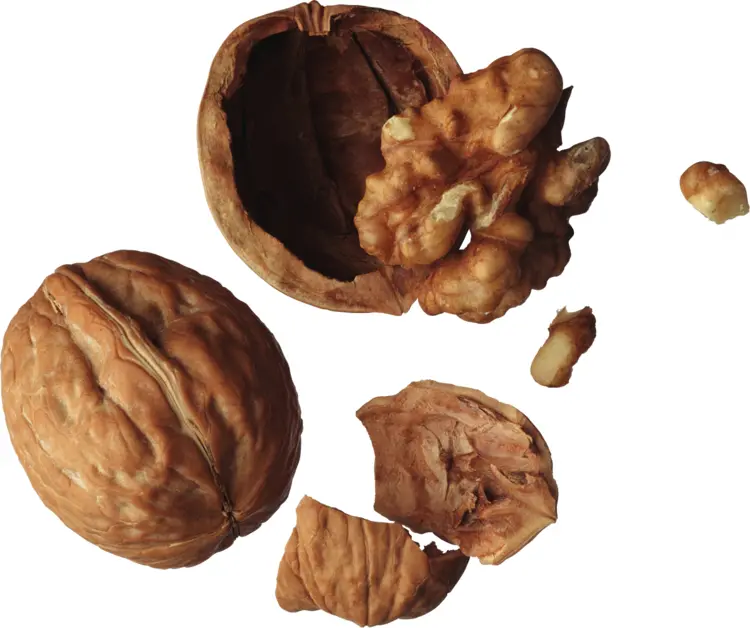 Cracked and Whole Walnuts