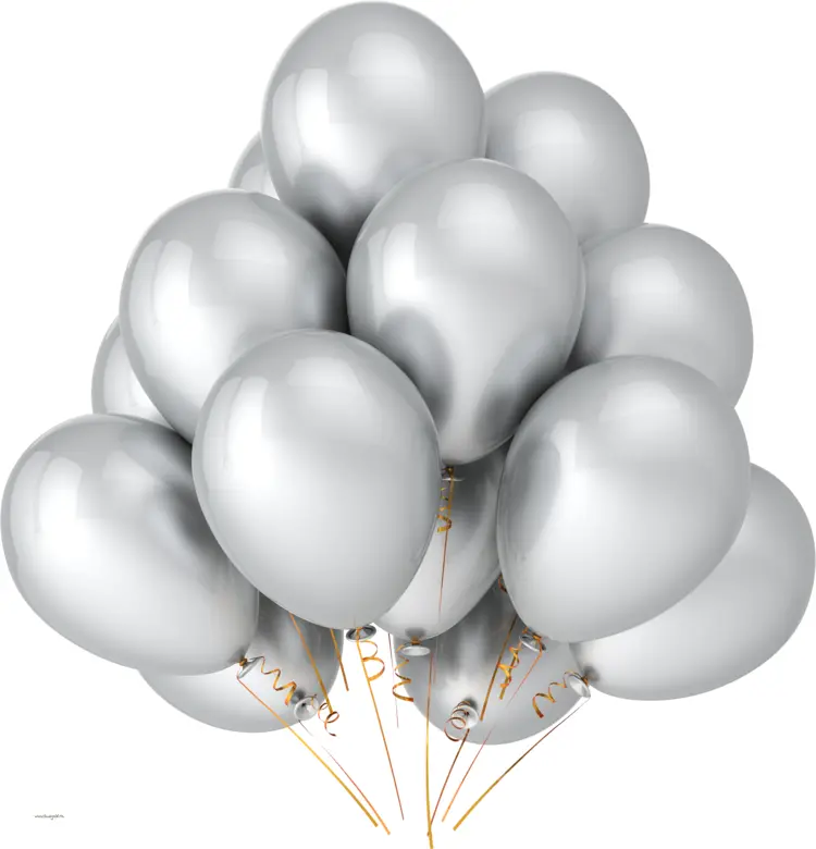 Elegant Silver Balloons