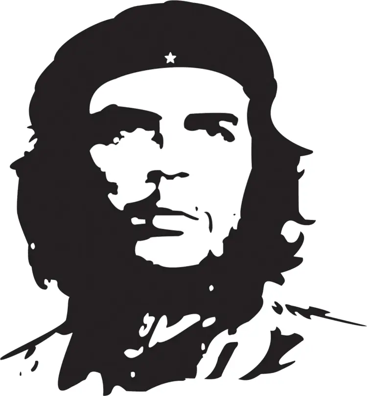 Iconic Black and White Portrait Illustration