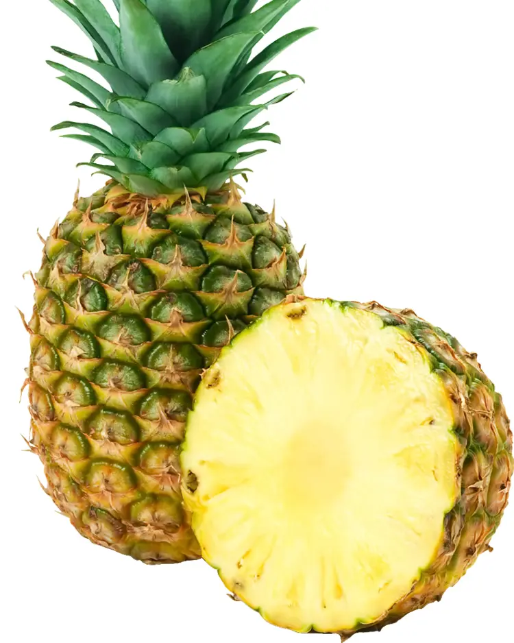Tropical Yellow Pineapple