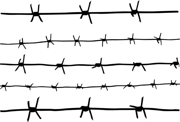 Barbed Wire Lines