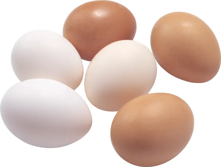 Assorted Eggs