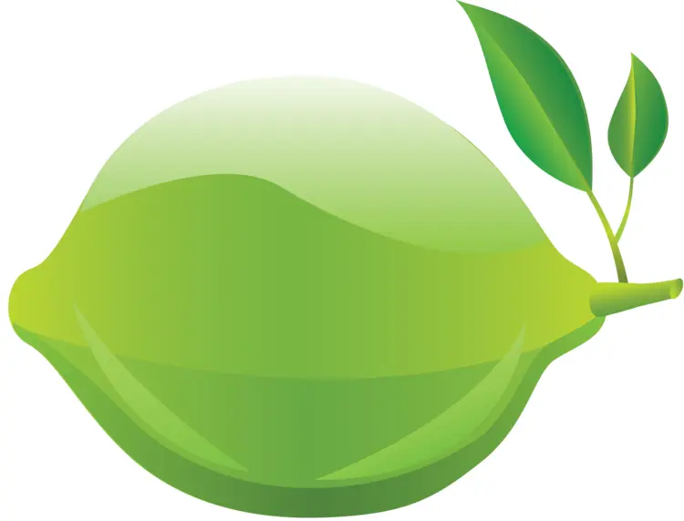 Green Lime with Leaves