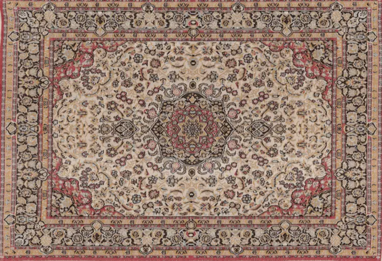 Ornate Beige Rug with Traditional Patterns