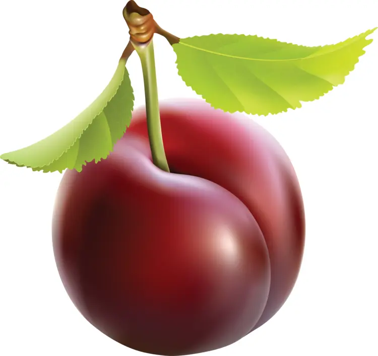 Juicy Red Plum with Green Leaves