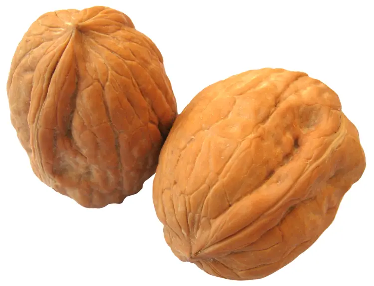 Whole Walnuts