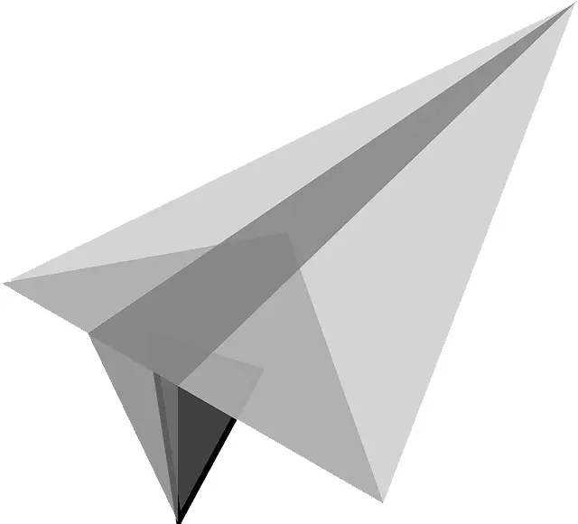 3D Paper Airplane