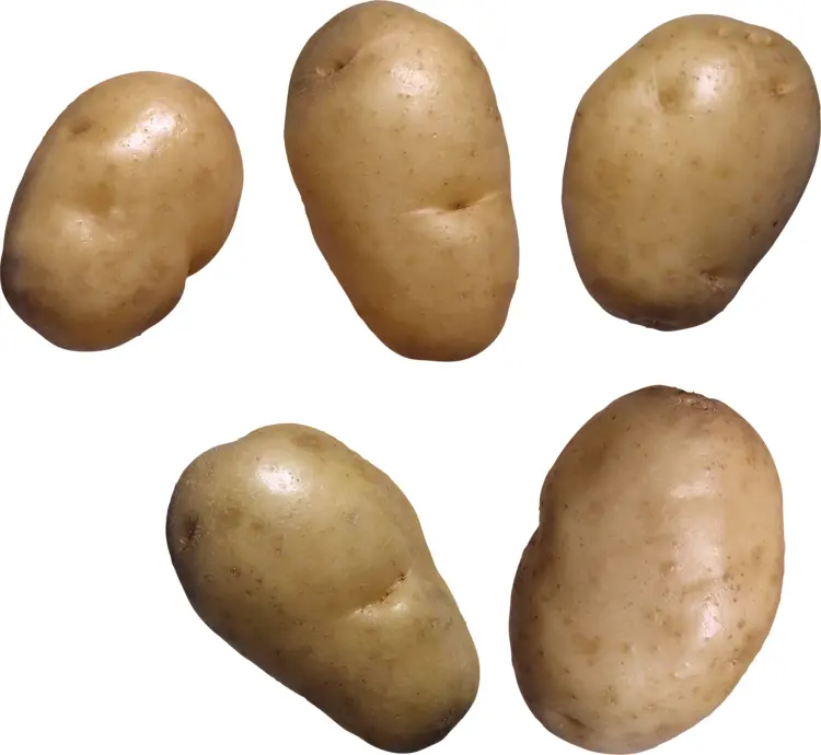 Brown Raw Potatoes
