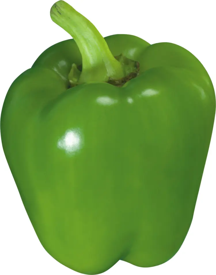 Whole Green Bell Pepper for Healthy Eating