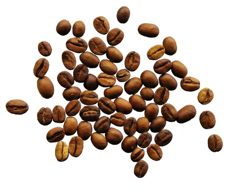 Scattered Coffee Beans