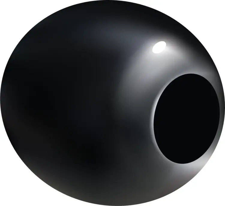 Single Black Olive
