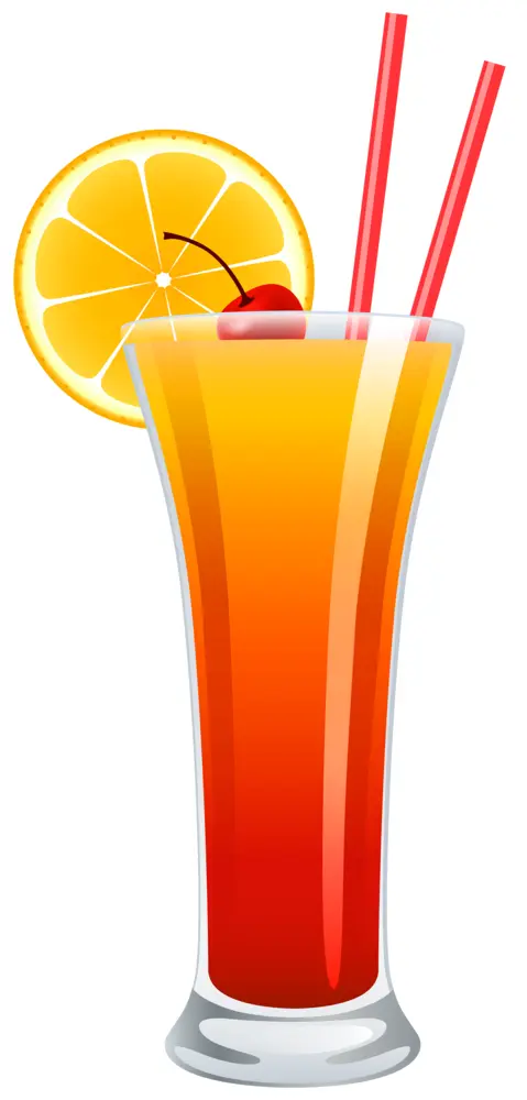 Orange Cocktail with Fruit Garnish