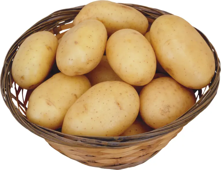 Basket of Brown Potatoes