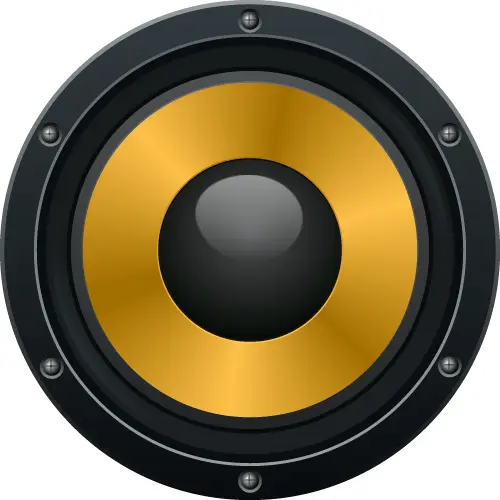 Gold and Black Speaker for Premium Sound