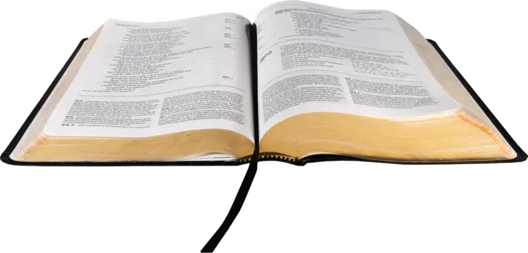 Open Bible with Bookmark