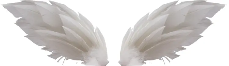 White Angel Wings